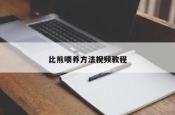 比熊喂养方法视频教程