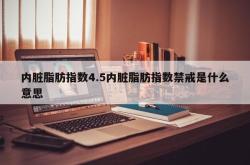 内脏脂肪指数4.5内脏脂肪指数禁戒是什么意思