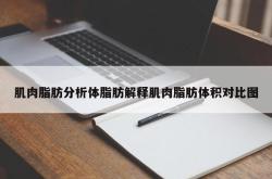 肌肉脂肪分析体脂肪解释肌肉脂肪体积对比图