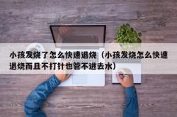 小孩发烧了怎么快速退烧（小孩发烧怎么快速退烧而且不打针也管不进去水）