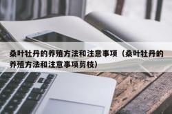 桑叶牡丹的养殖方法和注意事项（桑叶牡丹的养殖方法和注意事项剪枝）