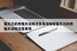 蟹爪兰的养殖方法和注意事项嫁接蟹爪兰的养殖方法和注意事项