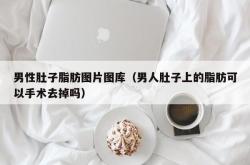 男性肚子脂肪图片图库（男人肚子上的脂肪可以手术去掉吗）