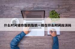 什么时间储存脂肪脂肪一般在什么时间段消耗