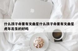 什么孩子命里有文曲星什么孩子命里有文曲星虎年出生的好吗