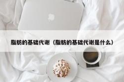 脂肪的基础代谢（脂肪的基础代谢是什么）