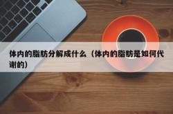 体内的脂肪分解成什么（体内的脂肪是如何代谢的）