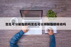 苦瓜可分解脂肪吗苦瓜可以抑制脂肪吸收吗