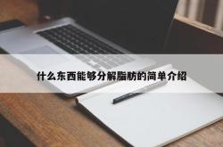 什么东西能够分解脂肪的简单介绍