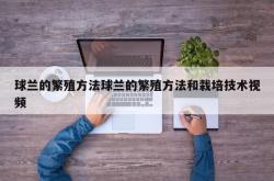 球兰的繁殖方法球兰的繁殖方法和栽培技术视频