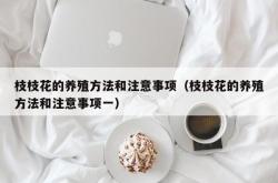 枝枝花的养殖方法和注意事项（枝枝花的养殖方法和注意事项一）