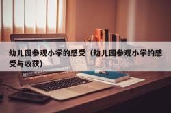 幼儿园参观小学的感受（幼儿园参观小学的感受与收获）