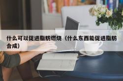 什么可以促进脂肪燃烧（什么东西能促进脂肪合成）