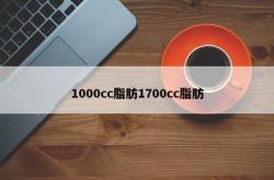 1000cc脂肪1700cc脂肪