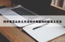 狗中毒怎么办土方法狗中毒最快的解毒土方法