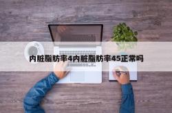 内脏脂肪率4内脏脂肪率45正常吗